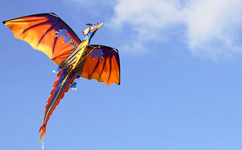 写风筝初中优秀日记（精选16篇）