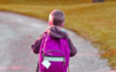 一个小男孩的书包作文350字