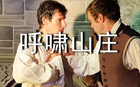 呼啸山庄读后感范文三篇