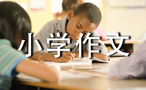 我和书包小学作文500字