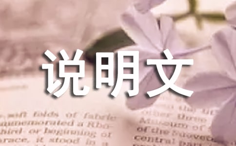 【实用】说明文作文300字3篇