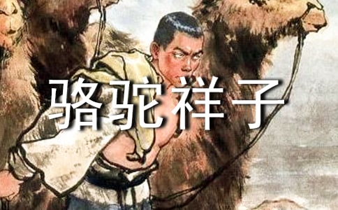 关于《骆驼祥子》的读后感300字(通用10篇)