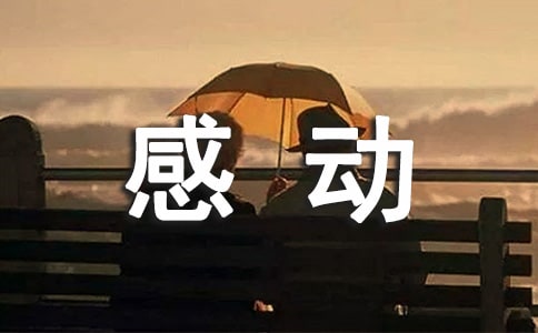 《感动十年》观后感550字