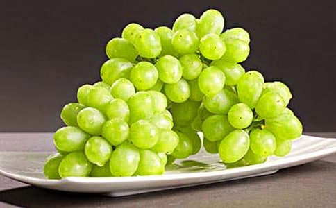 葡萄的自述说明文