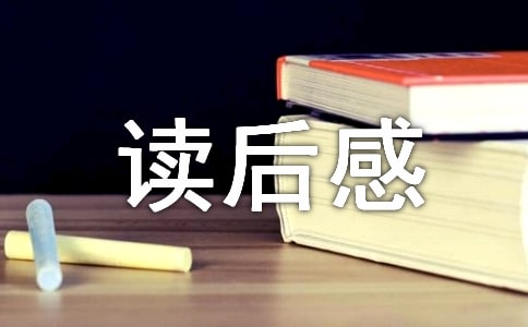 《亲爱的安德烈》优秀读后感范文