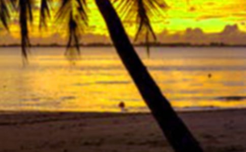 假期珠海游记作文