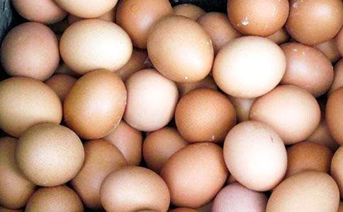 捏不碎的鸡蛋说明文