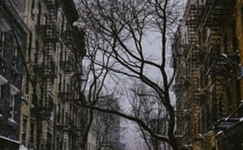 冬天的雪写景作文