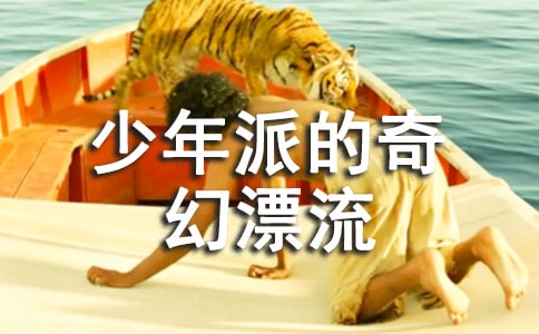 《少年派的奇幻漂流》的观后感15篇