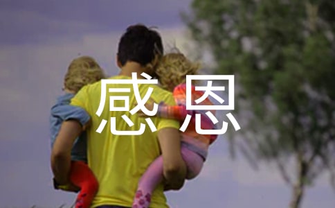 《感恩的心》读后感15篇