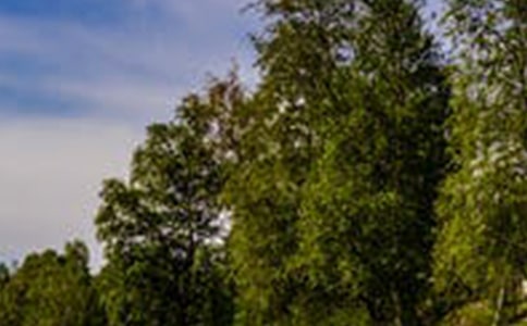 那抹美丽的风景二年级优秀作文