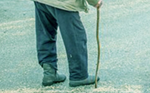 《爷爷一定有办法》读后感(通用35篇)