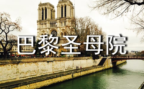 巴黎圣母院的读后感范文