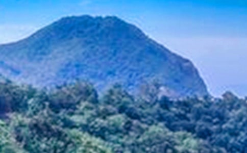 《大山里的共和国建设者》观后感范文