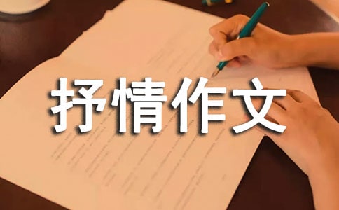 书包里的故事小学抒情作文