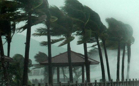 苏力台风的.自述说明文400字