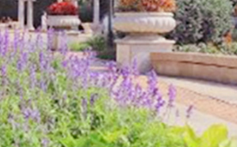 人民公园游记优秀作文