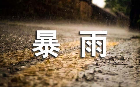 关于《暴雨筛》读后感