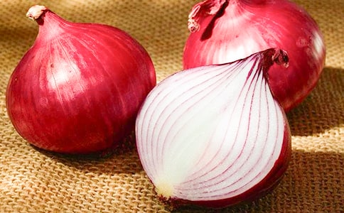 关于《洋葱头历险记》的读后感200字