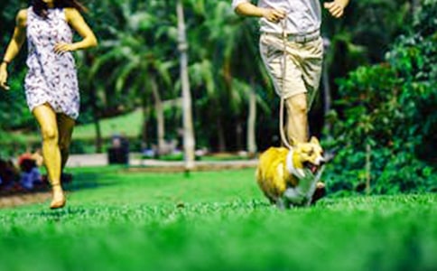 我的周末小学英语作文