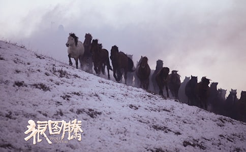 读《狼图腾》有感500字