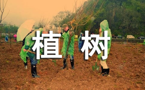 植树的牧羊人读后感3篇