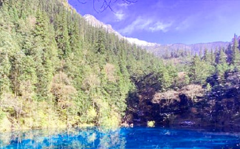 九寨沟游记600字作文