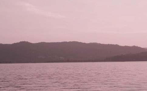 美丽的杭州西湖写景作文(精选42篇)