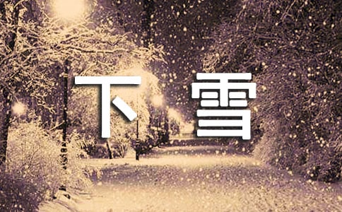 关于下雪的日记300字(精选28篇)