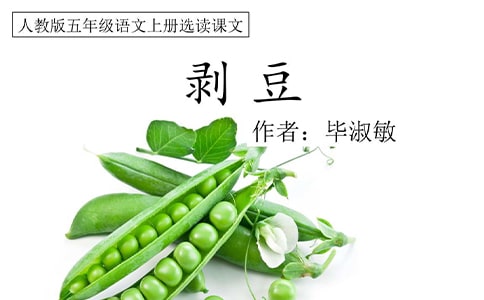关于剥豆读后感