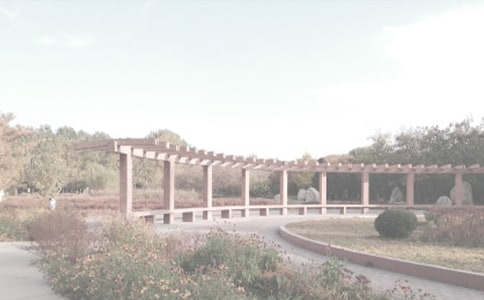 杭州植物园游记作文