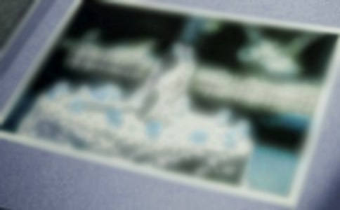 一张照片小学英语作文