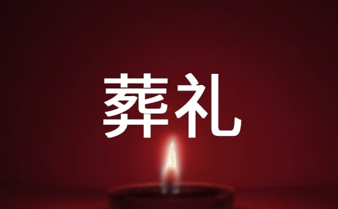 《查理九世之青铜棺的葬礼》读后感