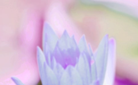 以夏至未至为题的800字议论文