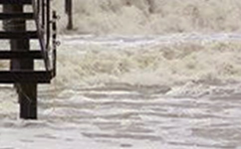 无情的海啸说明文