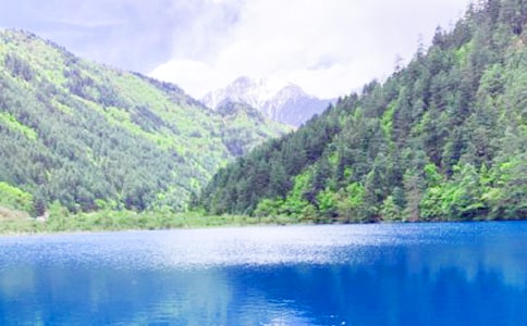 写景作文：美丽的九寨沟