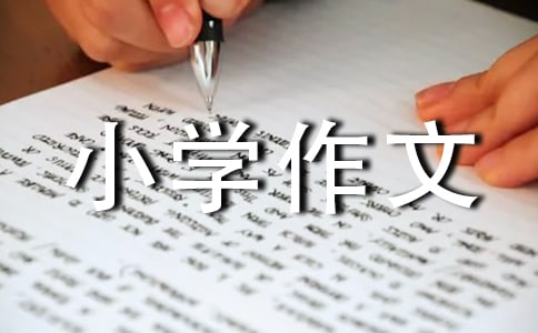 乡下游记小学作文