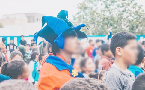 中学生蛙读后感1000字