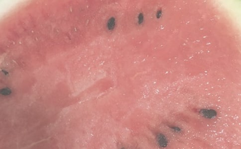 夏日捕鱼记心情日记