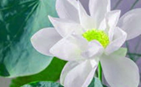 荷花淀的读后感900字