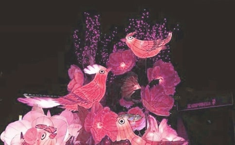 夫子庙看花灯日记