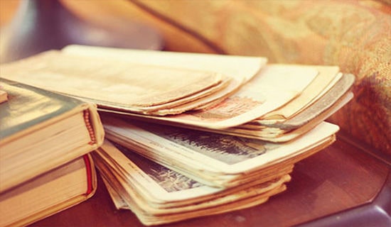 关于书籍之蓝色的海豚岛的读后感