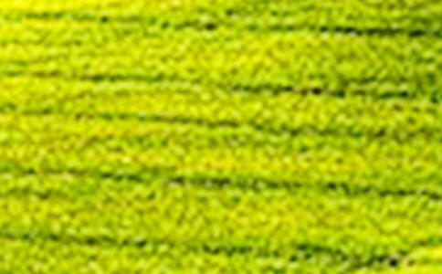 田野的早晨写景作文600字