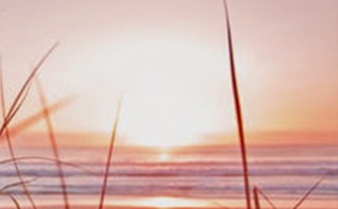 《黎明的河边》观后感作文