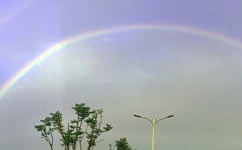 美丽的彩虹的观察日记(精选23篇)