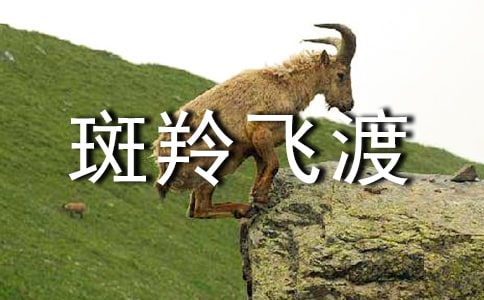 《斑羚飞渡》读后感(通用12篇)