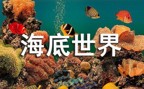 游海底世界的小学游记作文300字