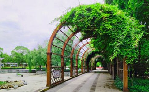 风光秀丽的台山公园游记日记