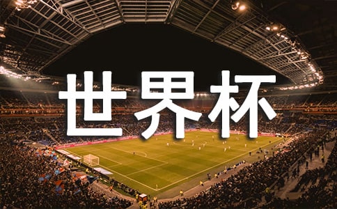看世界杯日记