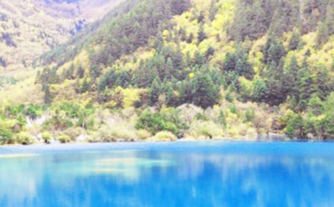 小学生九寨沟游记作文